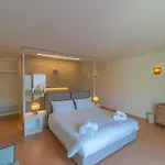 Hotiday Elite